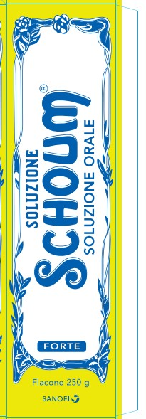SOLUZIONE SCHOUM*FTE 250G - pharmaonline24.it