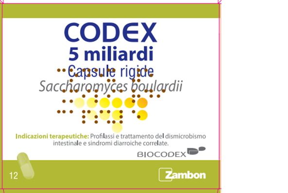 CODEX*12CPS 5MLD 250MG - pharmaonline24.it