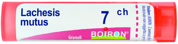 LACHESIS MUTUS 7 CH GRANULI - pharmaonline24.it