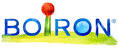 ARNICA MONTANA MK GLOBULI - pharmaonline24.it