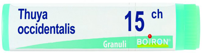 THUYA OCCIDENTALIS 15 CH GLOBULI - pharmaonline24.it