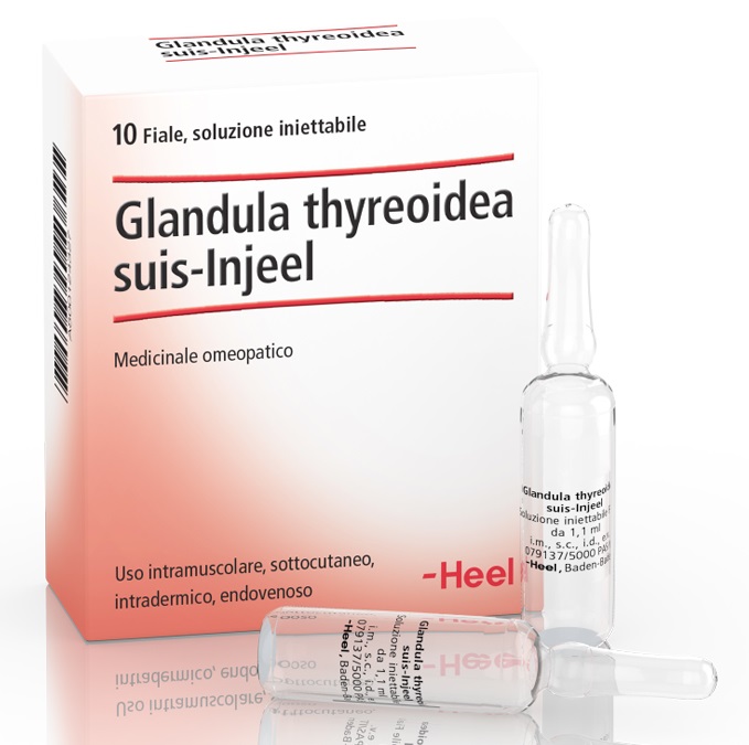 HEEL GLANDULA THYROIDEA SUIS INJEEL 10 FIALE - pharmaonline24.it
