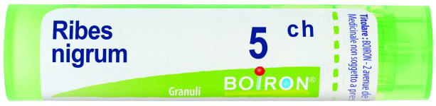 RIBES NIGRUM 5CH GRANULI - pharmaonline24.it