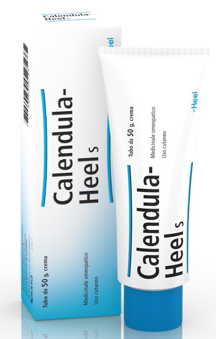 HEEL CALENDULA SALBE POMATA M 50 G - pharmaonline24.it