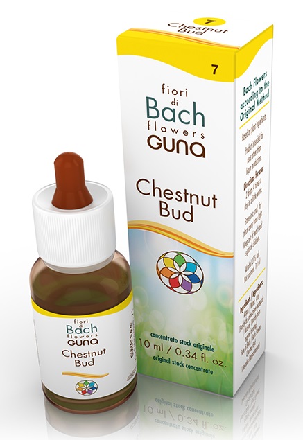 CHESTNUT BUD GOCCE 10 ML - pharmaonline24.it