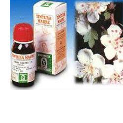 BIANCOSPINO 10 50ML TM - pharmaonline24.it
