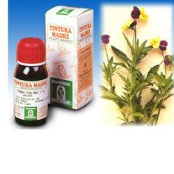 VIOLA DEL PENSIERO 32 50ML TM - pharmaonline24.it