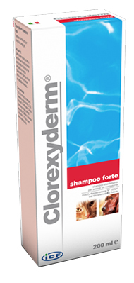 CLOREXYDERM SHAMPOO FORTE 200 ML - pharmaonline24.it