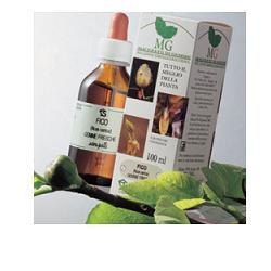 FICO MACERATO GLICERICO 100 ML - pharmaonline24.it