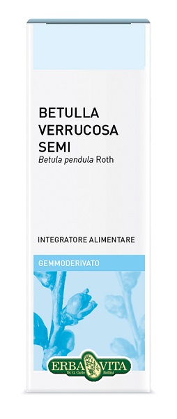 GEMMODERIVATO BETULLA SEMI 50 ML - pharmaonline24.it