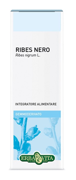 GEMMODERIVATO RIBES NERO 50 ML - pharmaonline24.it