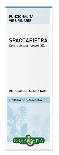 SPACCAPIETRA TINTURA IDROALCOLICA 50 ML EBV - pharmaonline24.it