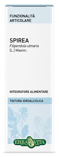 SPIREA ULMARIA TINTURA IDROALCOLICA 50 ML EBV - pharmaonline24.it
