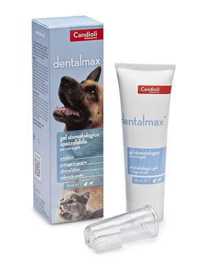 DENTALMAX GEL STOMATOLOGICO 50 ML - pharmaonline24.it