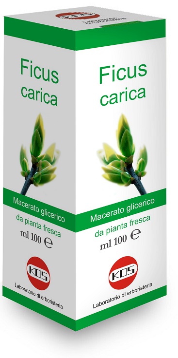 FICUS CARICA MACERATO GLICERICO 100 ML - pharmaonline24.it