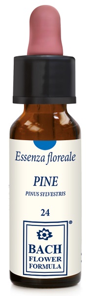 PINE ORIGINAL GOCCE 10 ML - pharmaonline24.it