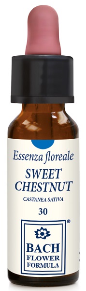 SWEET CHESTNUT ORIGINAL 10 ML - pharmaonline24.it
