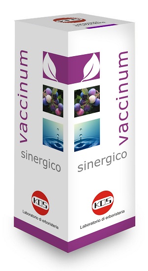 VACCINIUM SINERGICO GOCCE 100 ML - pharmaonline24.it