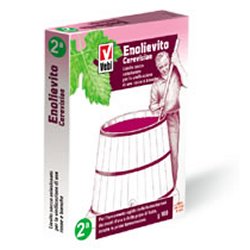 ENOLIEVITO CERVISIAE 100 G - pharmaonline24.it