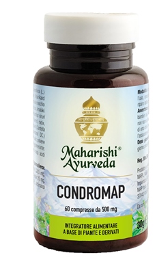 CONDROMAP 60 COMPRESSE - pharmaonline24.it
