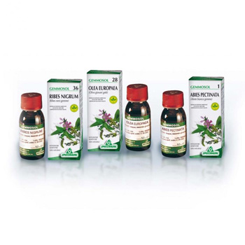 GEMMOSOL 46 TIGLIO ARGEN 50ML - pharmaonline24.it