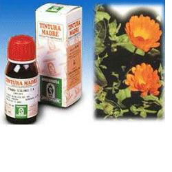 CALENDULA OFF 5 50ML TM - pharmaonline24.it