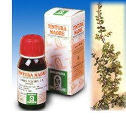 UVA URSINA 30 50ML TM - pharmaonline24.it