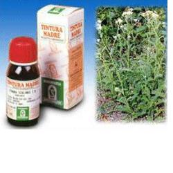 ACHILLEA 51 TINTURA MADRE 50 ML - pharmaonline24.it