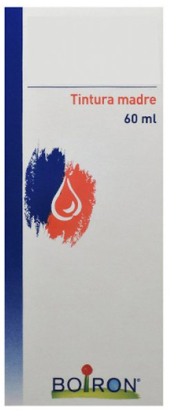 THUYA OCCIDENTALIS TINTURA MADRE 60 ML - pharmaonline24.it