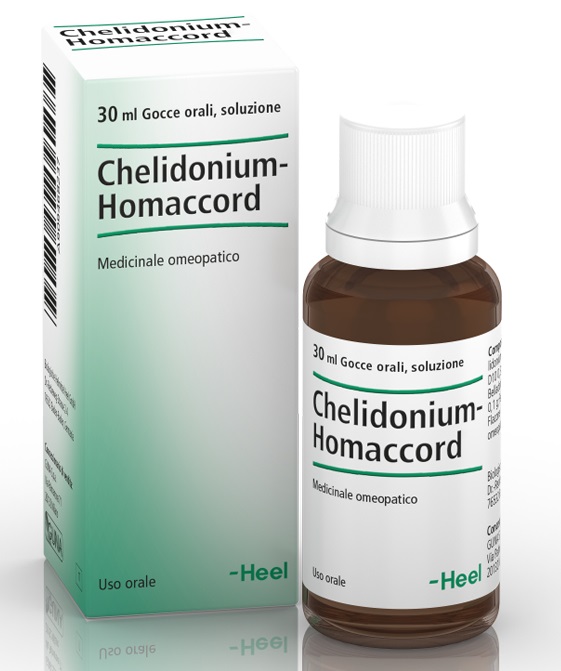 HEEL CHELIDONIUM HOMACCORD GOCCE 30 ML - pharmaonline24.it