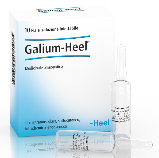 HEEL GALIUM 10 FIALE DA 1,1 ML L'UNA - pharmaonline24.it
