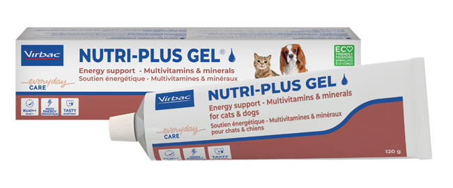 NUTRIPLUS GEL PASTA ORALE 120 G - pharmaonline24.it