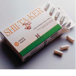 SHIITAKER HOLISTICA 100 CAPSULE - pharmaonline24.it