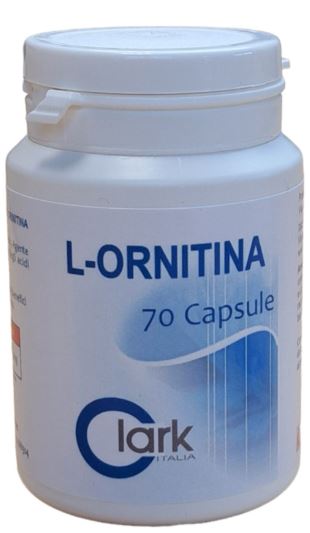L ORNITINA 70 CAPSULE - pharmaonline24.it