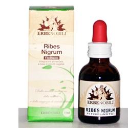 FITOBLASTO RIBES NIGRUM 50 ML - pharmaonline24.it