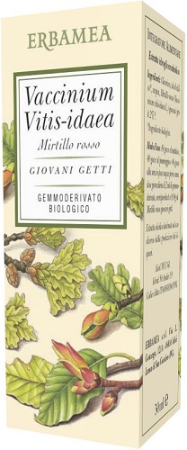 VACCINIUM VITIS IDAEA MIRTILLO ROSSO BIO 50 ML - pharmaonline24.it