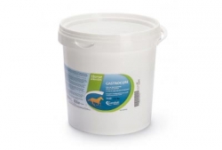 GASTROCURE SECCHIELLO 2,6 KG - pharmaonline24.it
