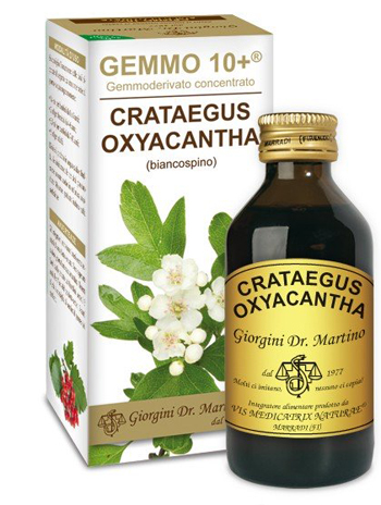 GEMMO 10+ BIANCOSPINO LIQUIDO ANALCOLICO 100 ML - pharmaonline24.it