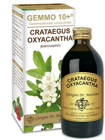 GEMMO 10+ BIANCOSPINO LIQUIDO ANALCOLICO 200 ML - pharmaonline24.it