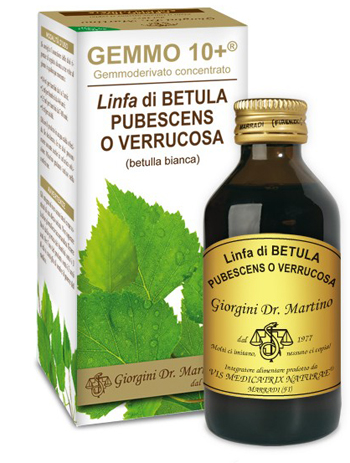 GEMMO 10+ BETULLA B LINFA 100 ML LIQUIDO ANALCOLICO - pharmaonline24.it
