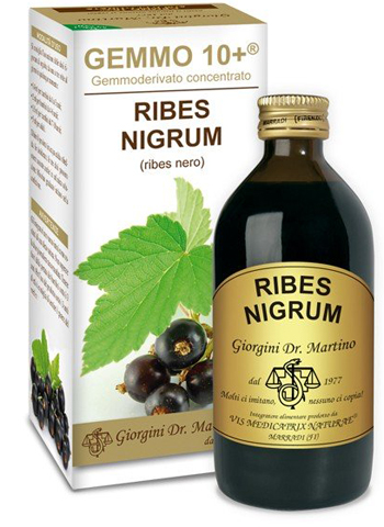 GEMMO 10+ RIBES NERO 200 ML LIQUIDO ANALCOLICO - pharmaonline24.it