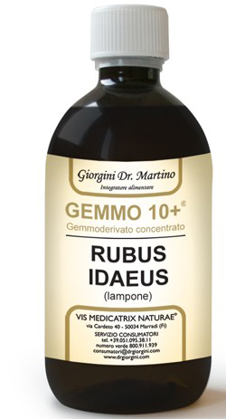 GEMMO 10+ GEMMODERIVATO CONCENTRATO LIQUIDO ANALCOLICO RUBUS IDEAUS LAMPONE 500 ML - pharmaonline24.it