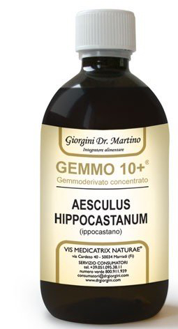GEMOO 10+ GEMMODERIVATO CONCENTRATO IPPOCASTANO LIQUIDO ANALCOLICO AESCULUS HIPPOCASTANUM IPPOCASTANO 500 ML - pharmaonline24.it