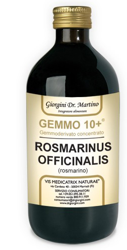GEMMO 10+ ROSMARINO LIQUIDO ANALCOLICO 500 ML - pharmaonline24.it