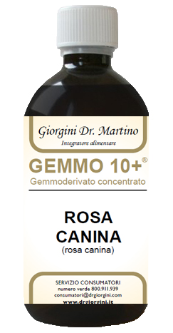 GEMMO 10+ ROSA CANINA LIQUIDO ANALCOLICO 500 ML - pharmaonline24.it
