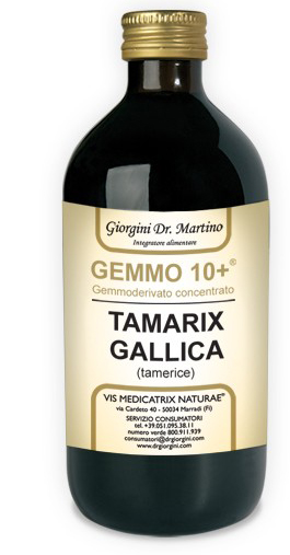 GEMMO 10+ GEMMODERIVATO CONCENTRATO LIQUIDO ANALCOLICO TAMARIX GALLICA TAMERICE 500 ML - pharmaonline24.it