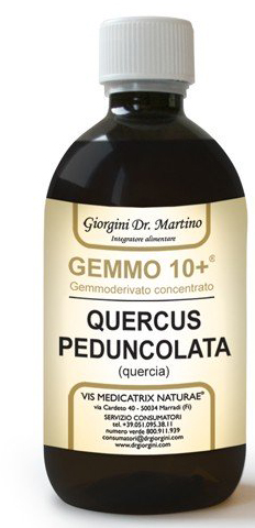 GEMMO 10+ QUERCIA 500 ML LIQUIDO ANALCOLICO - pharmaonline24.it