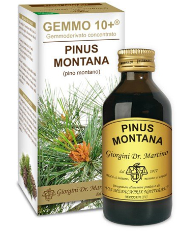 GEMMO 10+ PINO MONTANO 100 ML LIQUIDO ANALCOLICO - pharmaonline24.it