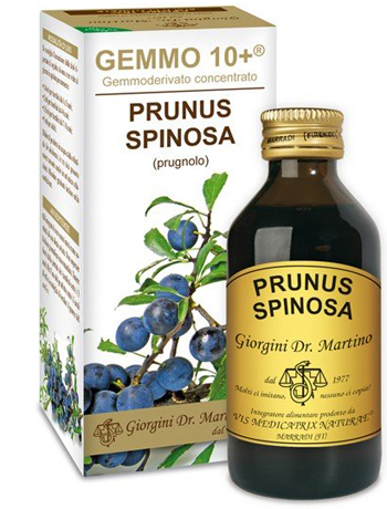 GEMMO 10+ PRUGNOLO 100 ML LIQUIDO ANALCOLICO - pharmaonline24.it