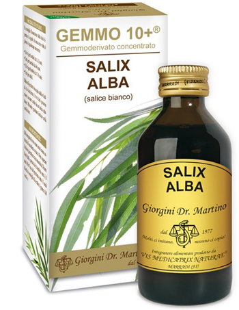 GEMMO 10+ SALICE BIANCO 100 ML LIQUIDO ANALCOLICO - pharmaonline24.it